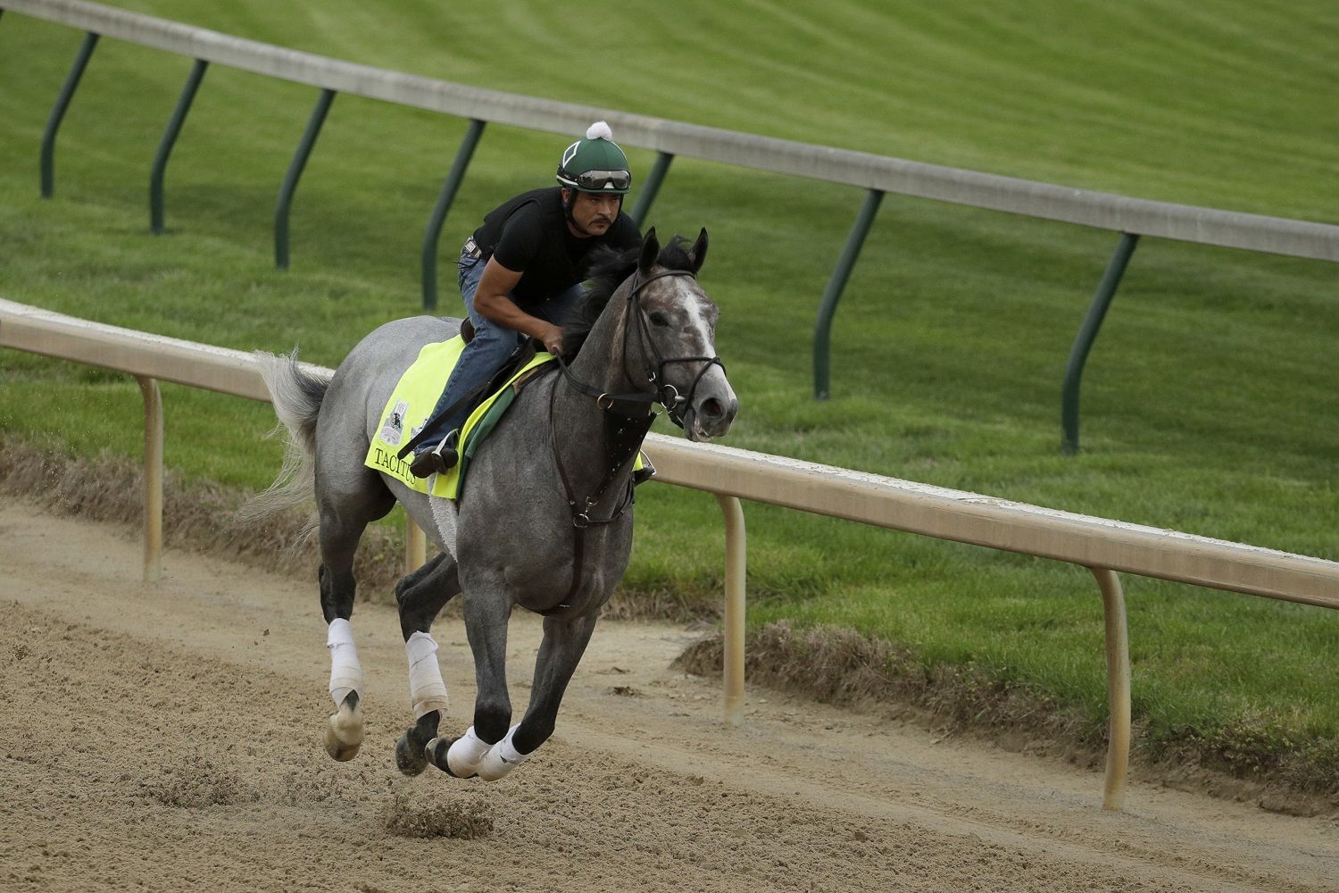 Kentucky Derby entrant Tacitus is ridden on the track during a workout at Churchill Downs Wednesday, May 1, 2019, in Louisville, Ky. The 145th running of the Kentucky Derby is scheduled for Saturday, May 4. (AP Photo/Charlie Riedel)