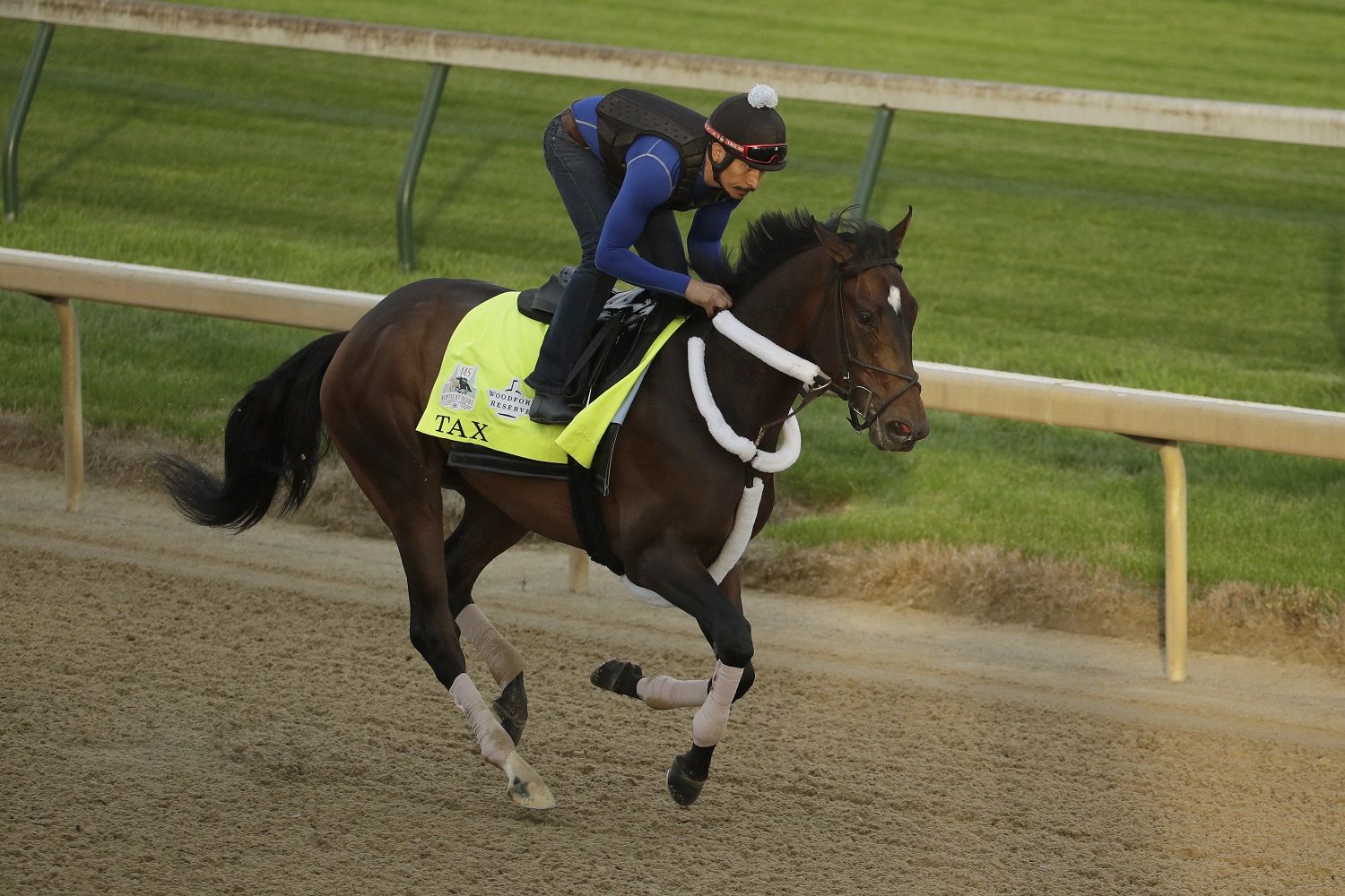 Kentucky Derby entrant Tax runs during a workout at Churchill Downs Wednesday, May 1, 2019, in Louisville, Ky. The 145th running of the Kentucky Derby is scheduled for Saturday, May 4. (AP Photo/Charlie Riedel)