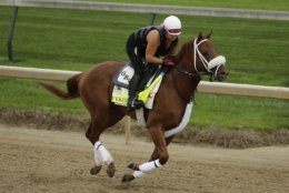Kentucky Derby entrant Vekoma is ridden on the track during a workout at Churchill Downs Wednesday, May 1, 2019, in Louisville, Ky. The 145th running of the Kentucky Derby is scheduled for Saturday, May 4. (AP Photo/Charlie Riedel)