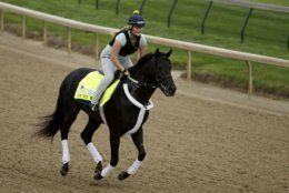 Kentucky Derby entrant Win Win Win runs during a workout at Churchill Downs Wednesday, May 1, 2019, in Louisville, Ky. The 145th running of the Kentucky Derby is scheduled for Saturday, May 4. (AP Photo/Charlie Riedel)