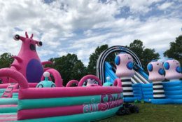 Next thing you knew, an entire complex of bouncy experience sprung to life. (WTOP/Kristi King)