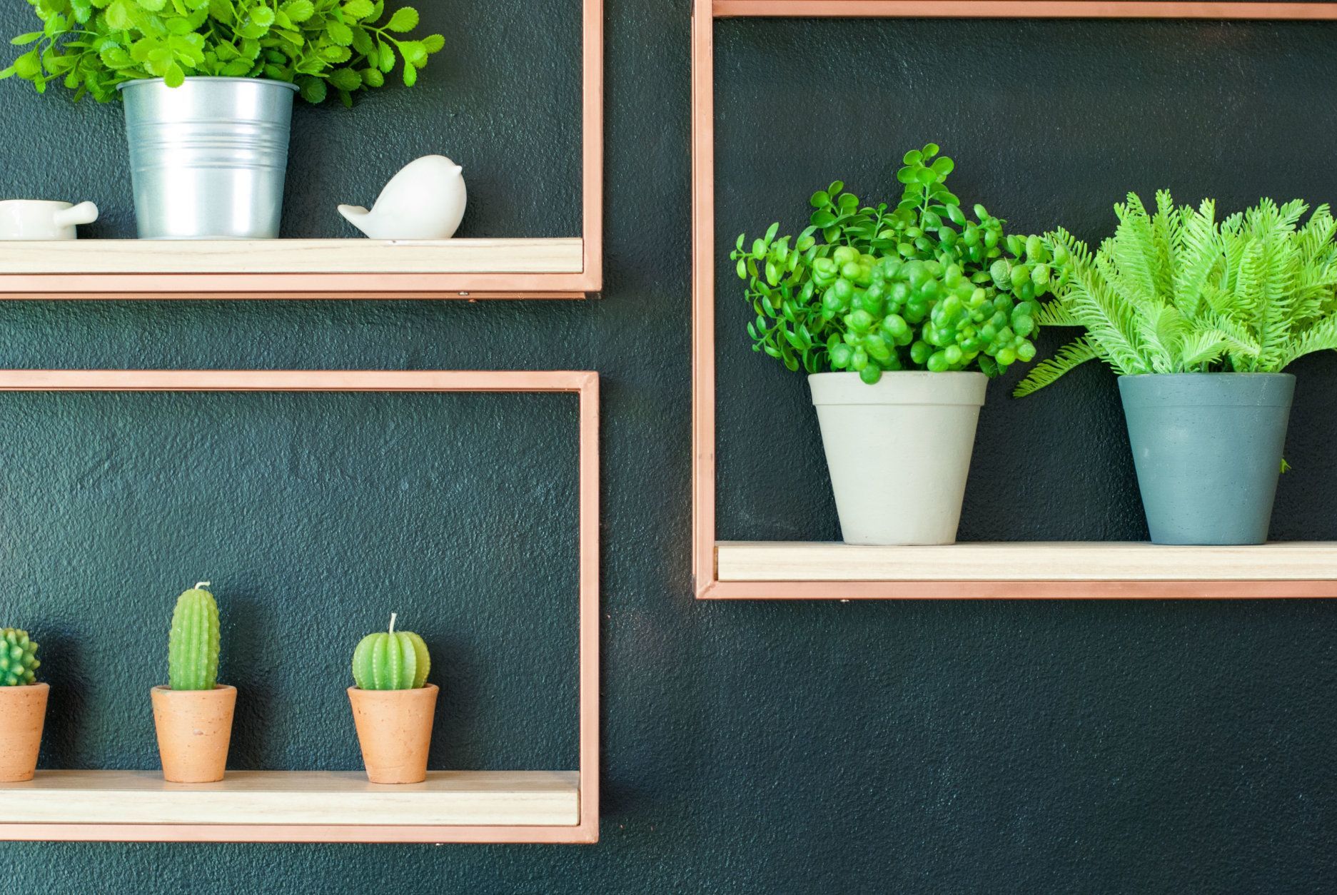 Artificial plant in steel and plastic pot and cactus-shaped candles are placed on blank photo frame for cute decoration in coffee shop