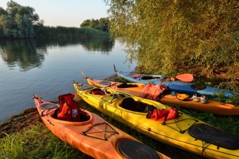 Boat rental app sees Maryland growth as sharing economy becomes more popular