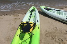 Kayaking is a wildly popular summertime activity. (WTOP/John Domen)