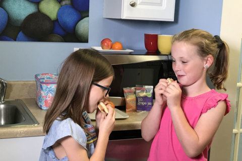 Lunchwich: Alexandria mom creates kid-friendly frozen sandwich to solve lunch dilemma