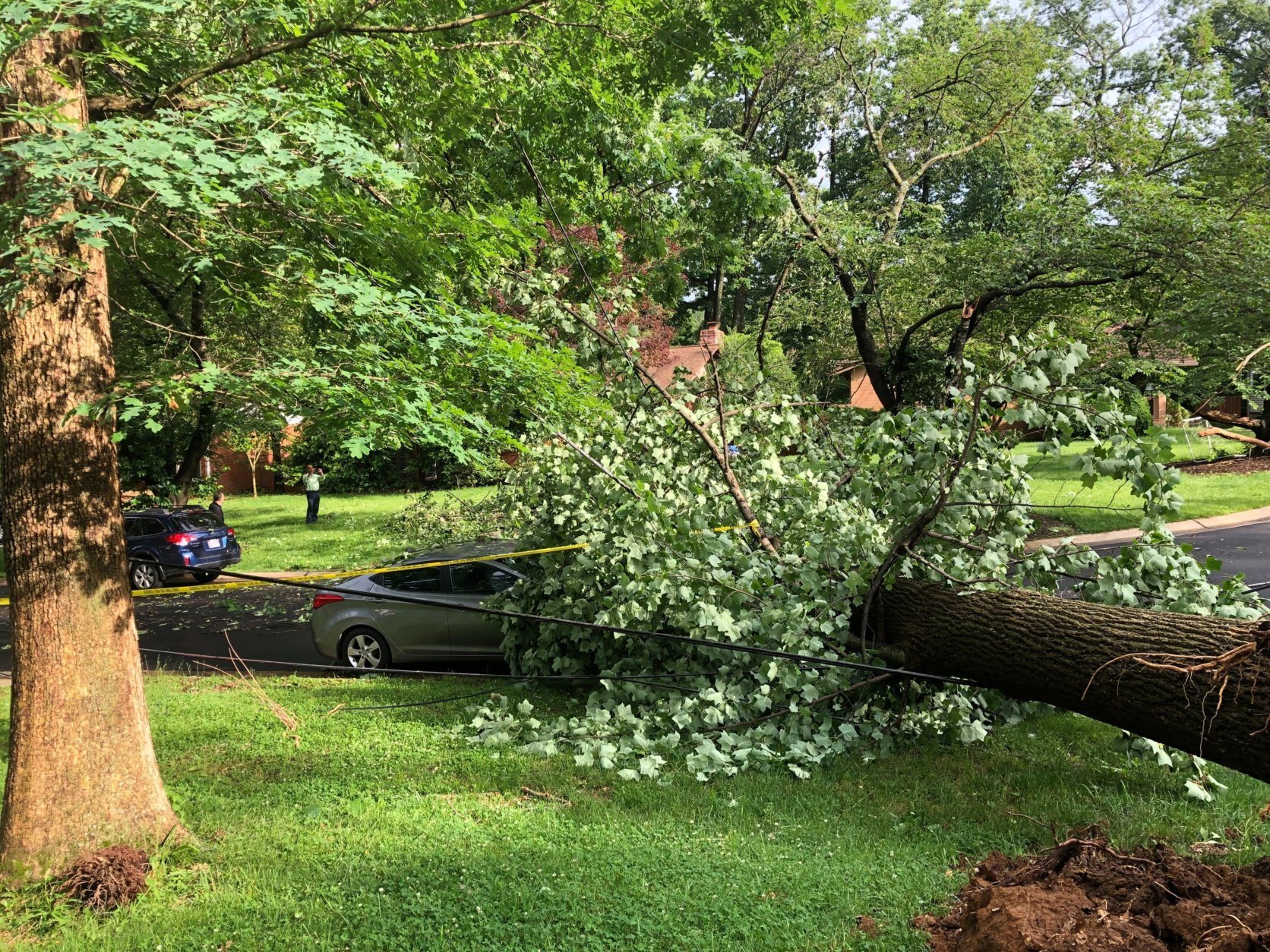 A tree falls in a Rockville, Maryland, neighborhood after a storm on Thursday, May 23, 2019. (WTOP/Mike Murillo)