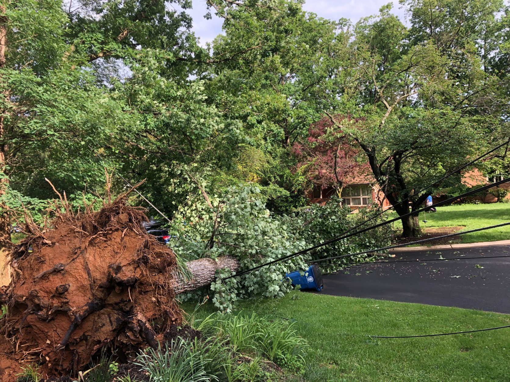 A fire burst in a Rockville, Maryland, neighborhood after a tree downed wires during a storm on Thursday, May 23, 2019. (WTOP/Mike Murillo)
