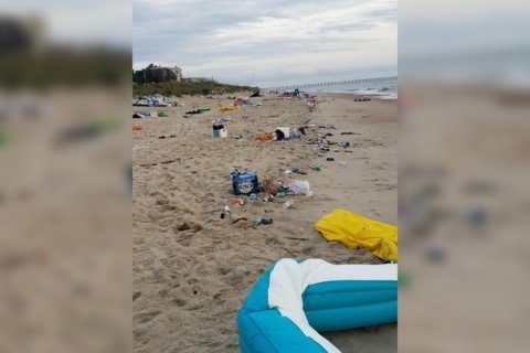 They partied on the beach. And then left 20,000 pounds of trash on it.