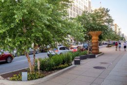 When complete, the new rain gardens and expanded tree boxes will add more than 4,00 square feet of green space along 19th Street in downtown D.C. (Courtesy Golden Triangle BID)