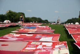 The quilts stretched out along the National Mall with the Capitol Building in the background. (WTOP/Alejandro Alvarez)