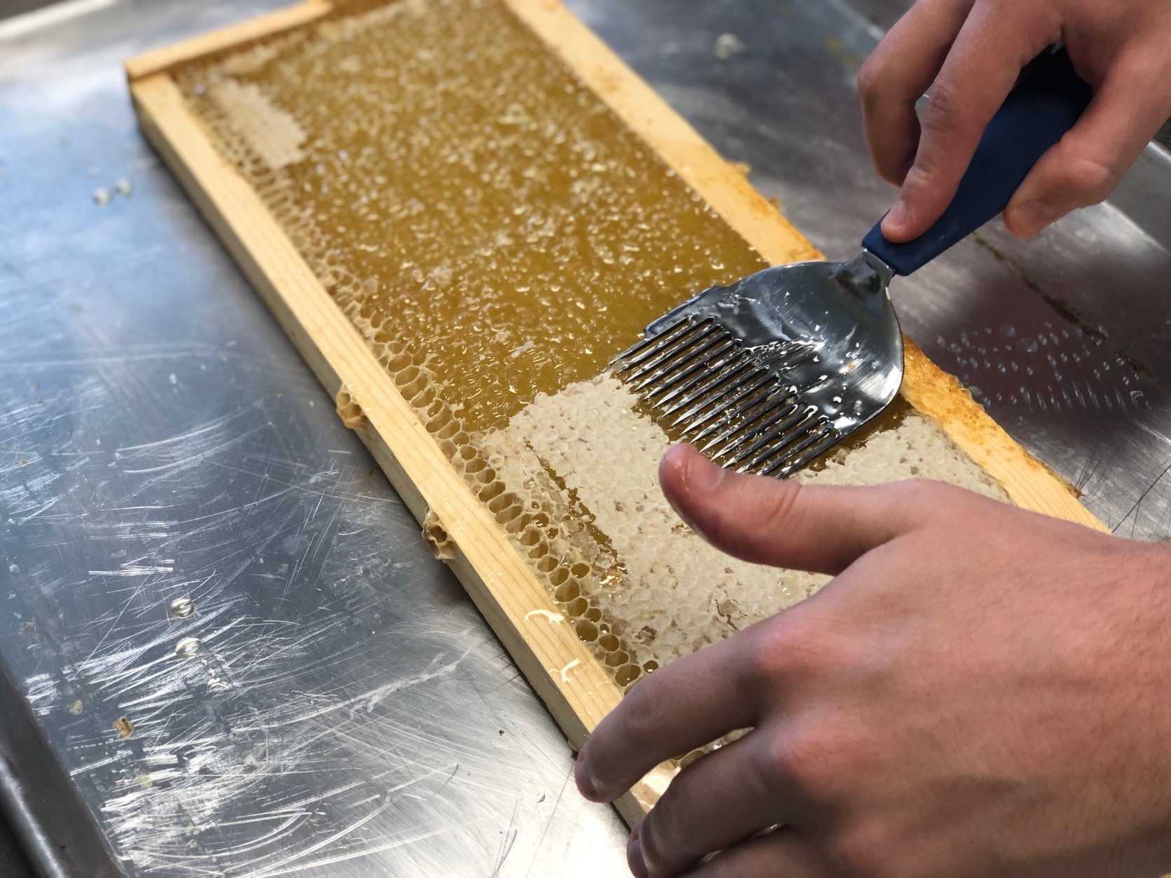 Participants remove an outer layer of wax before scraping off the honey made on the farm, which is on a small plot of land just off Mississippi Avenue in Southeast, D.C. (WTOP/Rachel Nania)