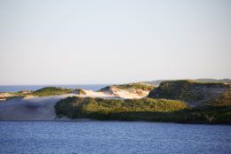 When Mrs. Onassis purchased the Aquinnah property in 1979, she was drawn to the untamed beauty of the oceanfront property’s coastal dunes, freshwater ponds, and the abundance of plants, trees, birds and other wildlife, and she fiercely protected it, as has her daughter Caroline Kennedy in the years since. (Laura Moss Photography)
