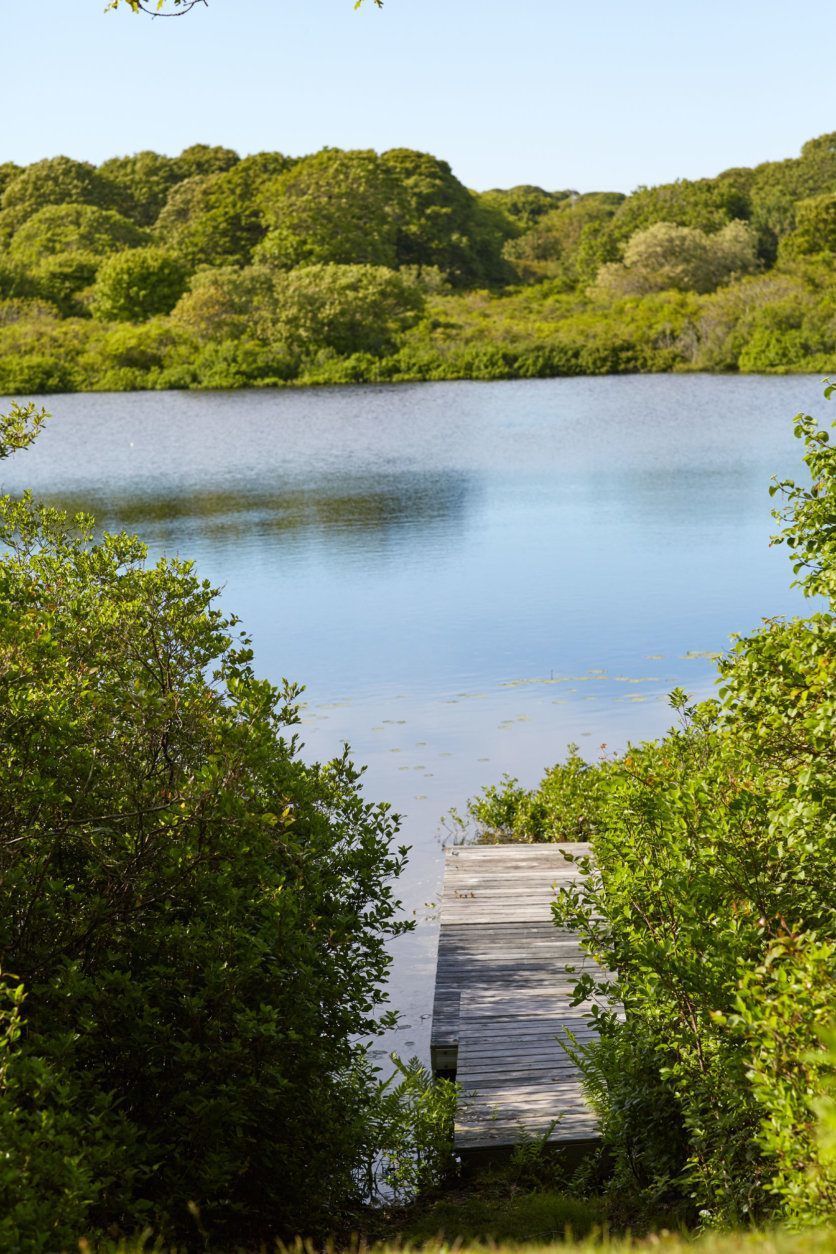 When Mrs. Onassis purchased the Aquinnah property in 1979, she was drawn to the untamed beauty of the oceanfront property’s coastal dunes, freshwater ponds, and the abundance of plants, trees, birds and other wildlife, and she fiercely protected it, as has her daughter Caroline Kennedy in the years since. (Laura Moss Photography)