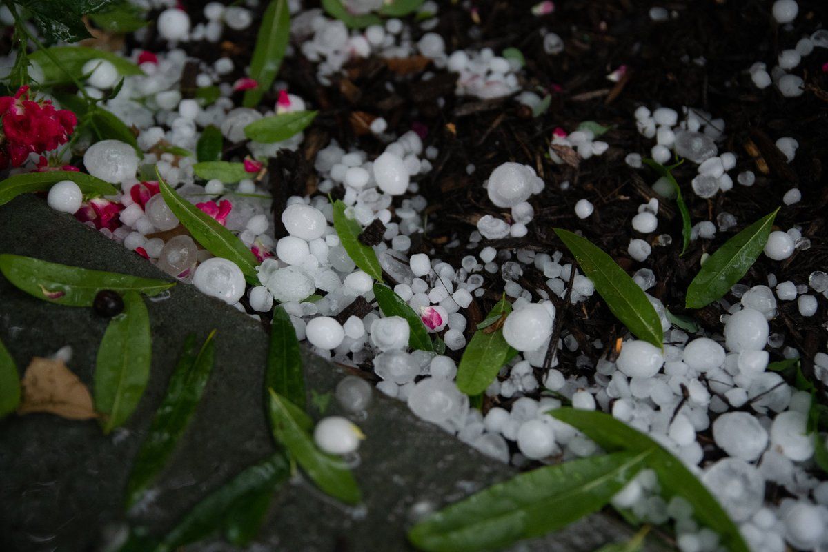 Hail hits D.C. on Sunday, June 2. (WTOP/Alejandro Alvarez) 