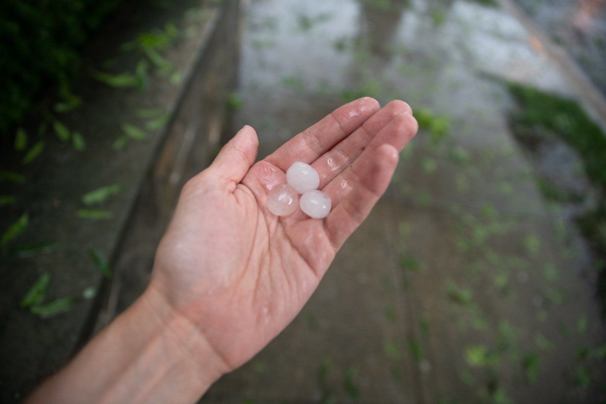 Quarter-sized hail fell in D.C. on Sunday. (WTOP/Alejandro Alvarez) 