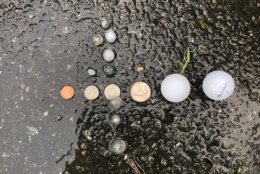 Quarter-sized hail is seen on MacArthur Boulevard near the Beltway on Sunday, June 2. (WTOP/Dave Dildine) 