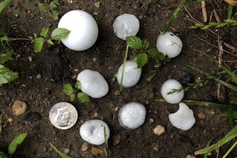 A look at DC hail history after Sunday’s storms, from pennies to softballs