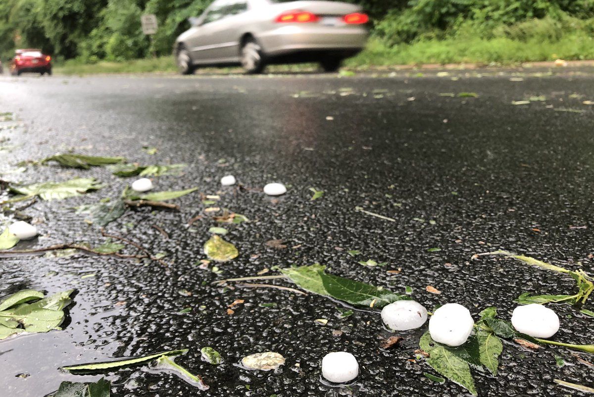 A lot of foliage was stripped off of trees by the half dollar sized hail along the C&O Canal hail on Sunday, June 2. (WTOP/Dave Dildine) 