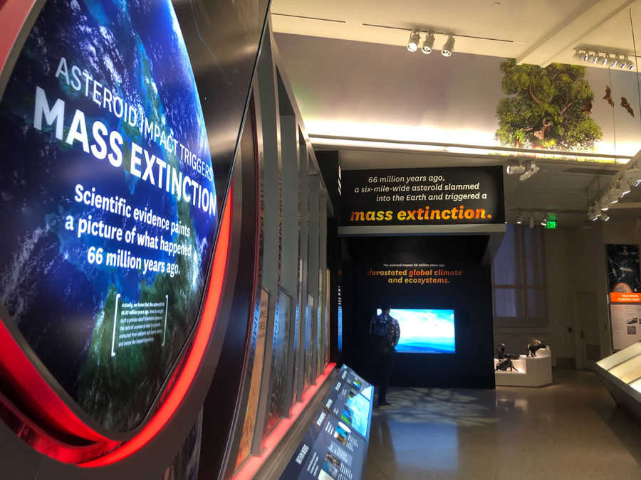 Visitors will learn about these plants and animals that walked the Earth before an asteroid struck, leading to mass extinction. Volunteers will be available throughout the exhibition's opening weekend to help visitors learn from and engage with the exhibition. (WTOP/Melissa Howell)
