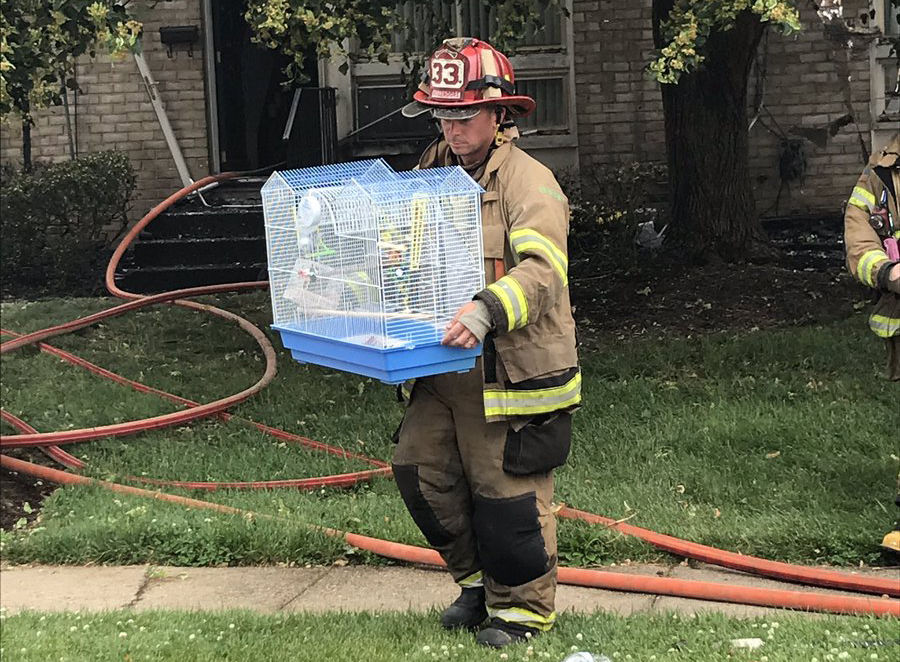 A pet bird was rescued and reunited with its owner. (Courtesy Frederick County Fire and Rescue Services)