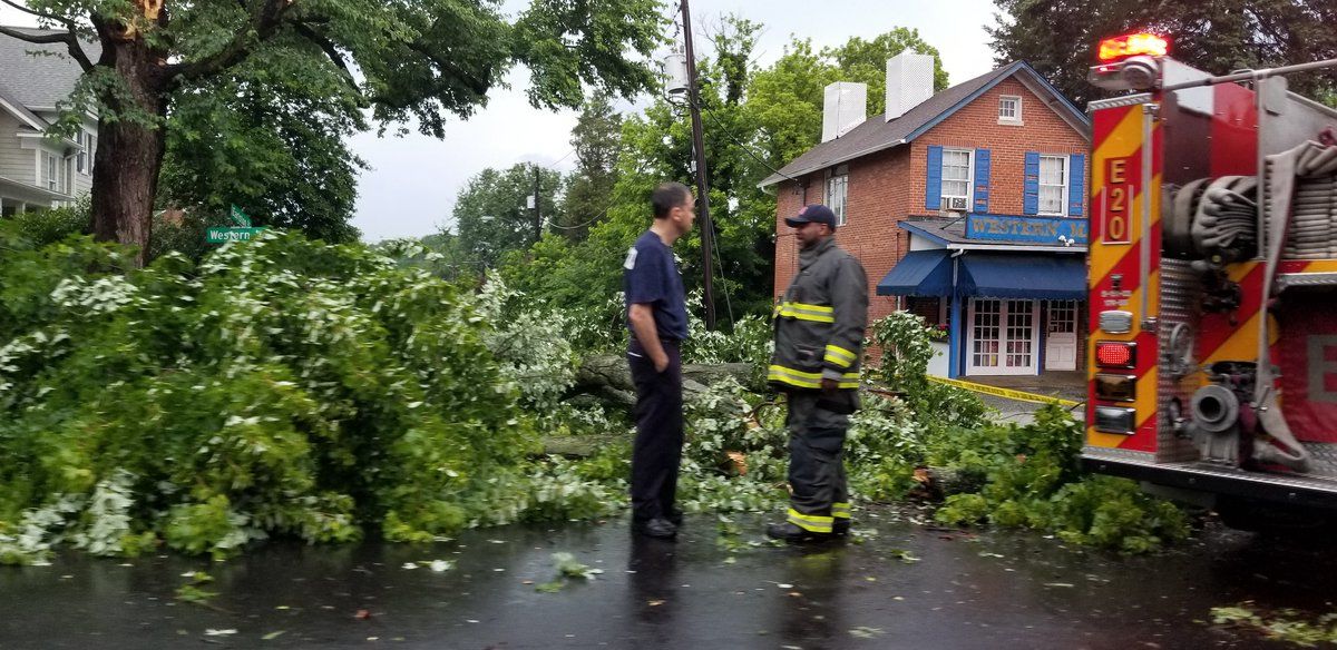 Sunday's thunderstorm knocked down trees on Western Avenue between River and Massachusetts Avenue. (WTOP/Hillary Howard) 