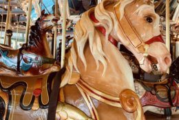  The park has announced that the carousel is closing June 30 for building repairs and won't reopen until next spring. (Courtesy/Louise Schiavone)