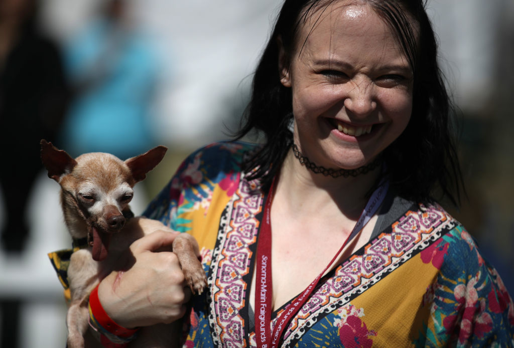 PETALUMA, CALIFORNIA - JUNE 21: Molly Horgan holds her dog Tostito before the start of the World's Ugliest Dog contest at the Marin-Sonoma County Fair on June 21, 2019 in Petaluma, California. Ugly dogs from across the country participate in the World's Ugliest Dog contest. (Photo by Justin Sullivan/Getty Images)