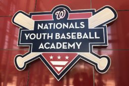 Nationals Youth Baseball Academy logo