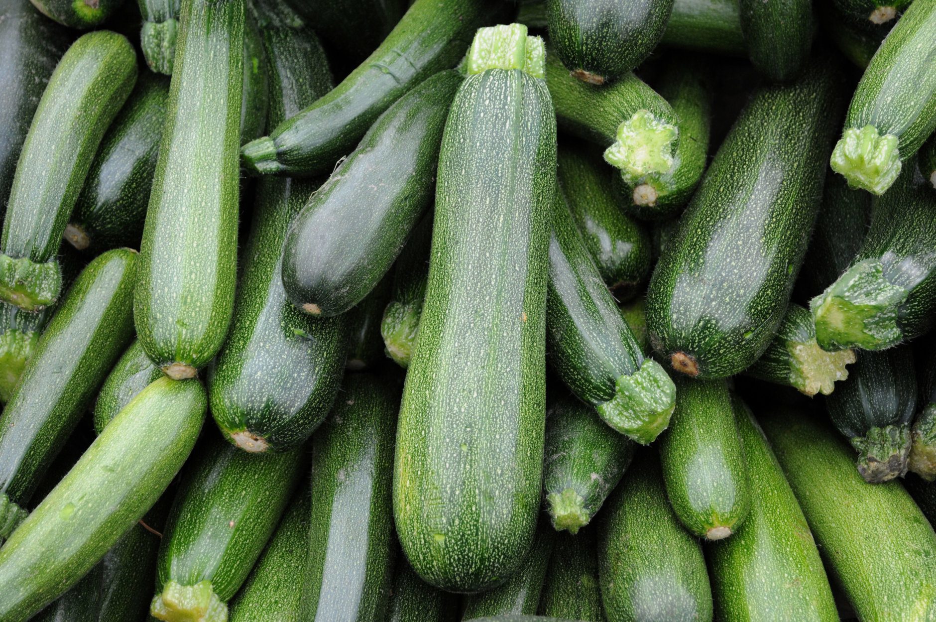 Too much zucchini is never enough! How to use up summer squash in so