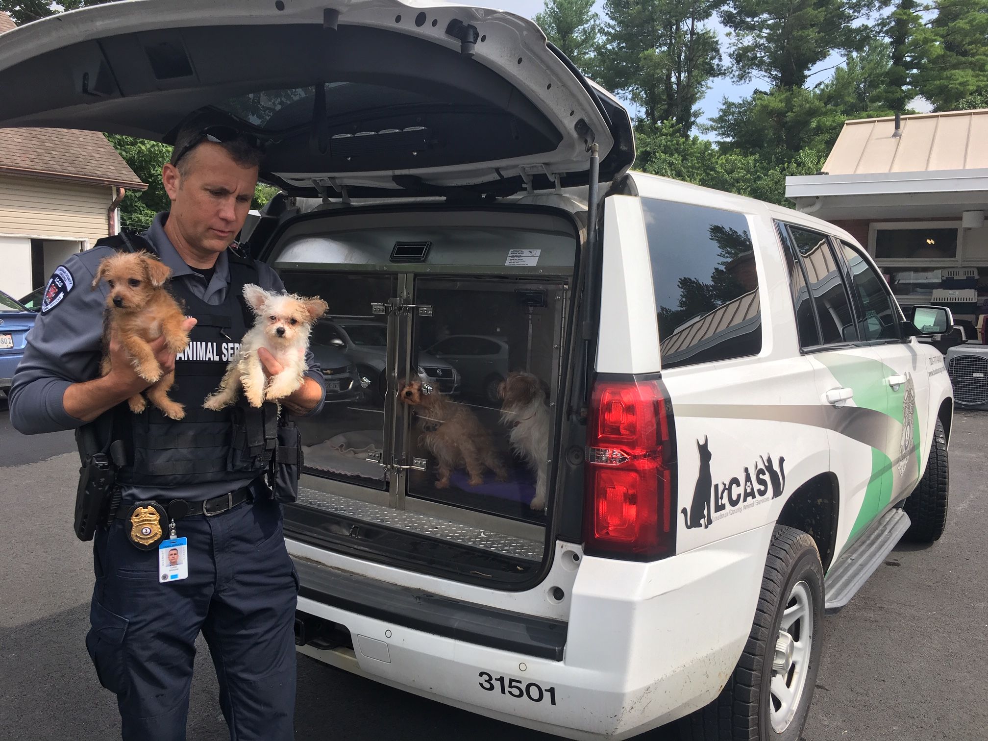 2 arrested, 18 animals seized in Loudoun Co. animal cruelty case - WTOP News