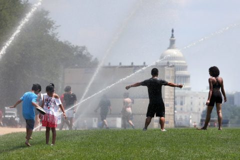 DC ‘heat islands’ explained: Why it’s much hotter in some parts of the city