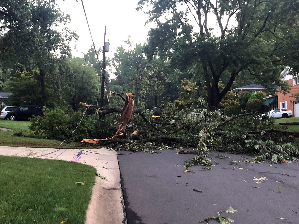 The Stratton Woods neighborhood in Bethesda had multiple downed trees an utility poles.