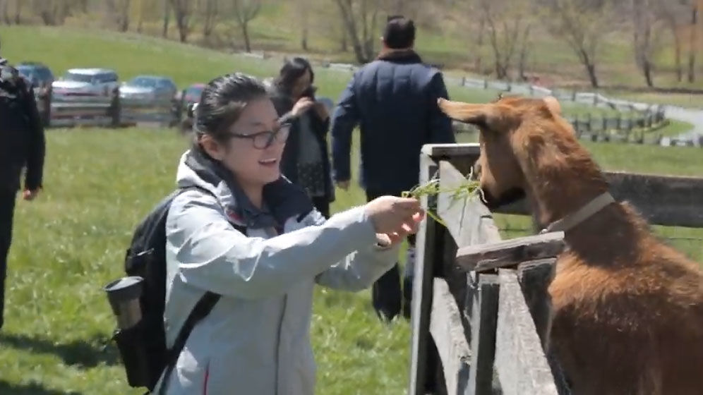 From Beer To Beets Almost 20 Montgomery County Farms Open To Visitors
