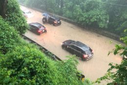 cars submerged