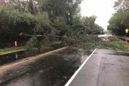 A downed tree closes a road in the City of Fairfax in Virginia, on Tuesday, July 2, 2019. (Courtesy Fairfax City police)