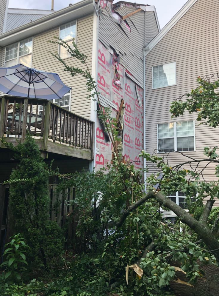 A tree fell on a townhouse in Olney, Maryland, on Tuesday, July 2, 2019. (Courtesy Montgomery County Fire and Rescue)