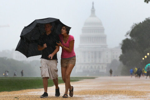 Monday afternoon thunderstorms could produce damaging wind gusts for DC area