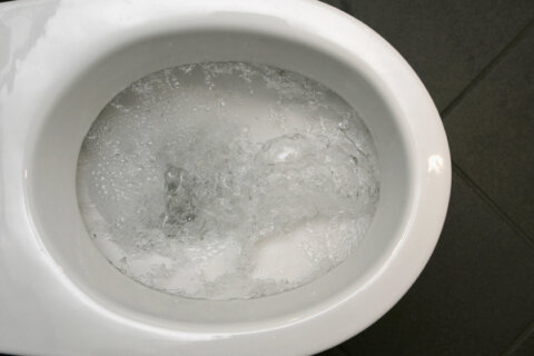 Lifting the lid: Virginia health department rolls out COVID data tied to what you flush