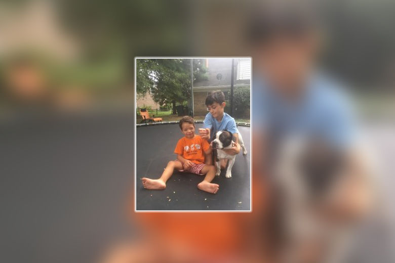 Missing for 3 months, emotional support dog reunited with 4yearold(01)