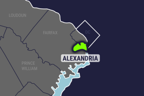 Woman in custody after gunfire near Alexandria courthouse