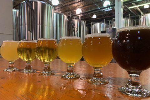 Northern Virginia brewers bring home national Beer Festival medals