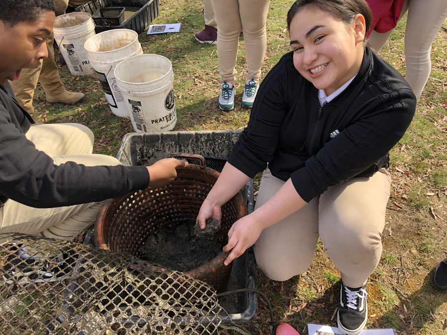 Students from Fairmont Heights High School measure freshwater mussels at Kenilworth Aquatic Gardens.
