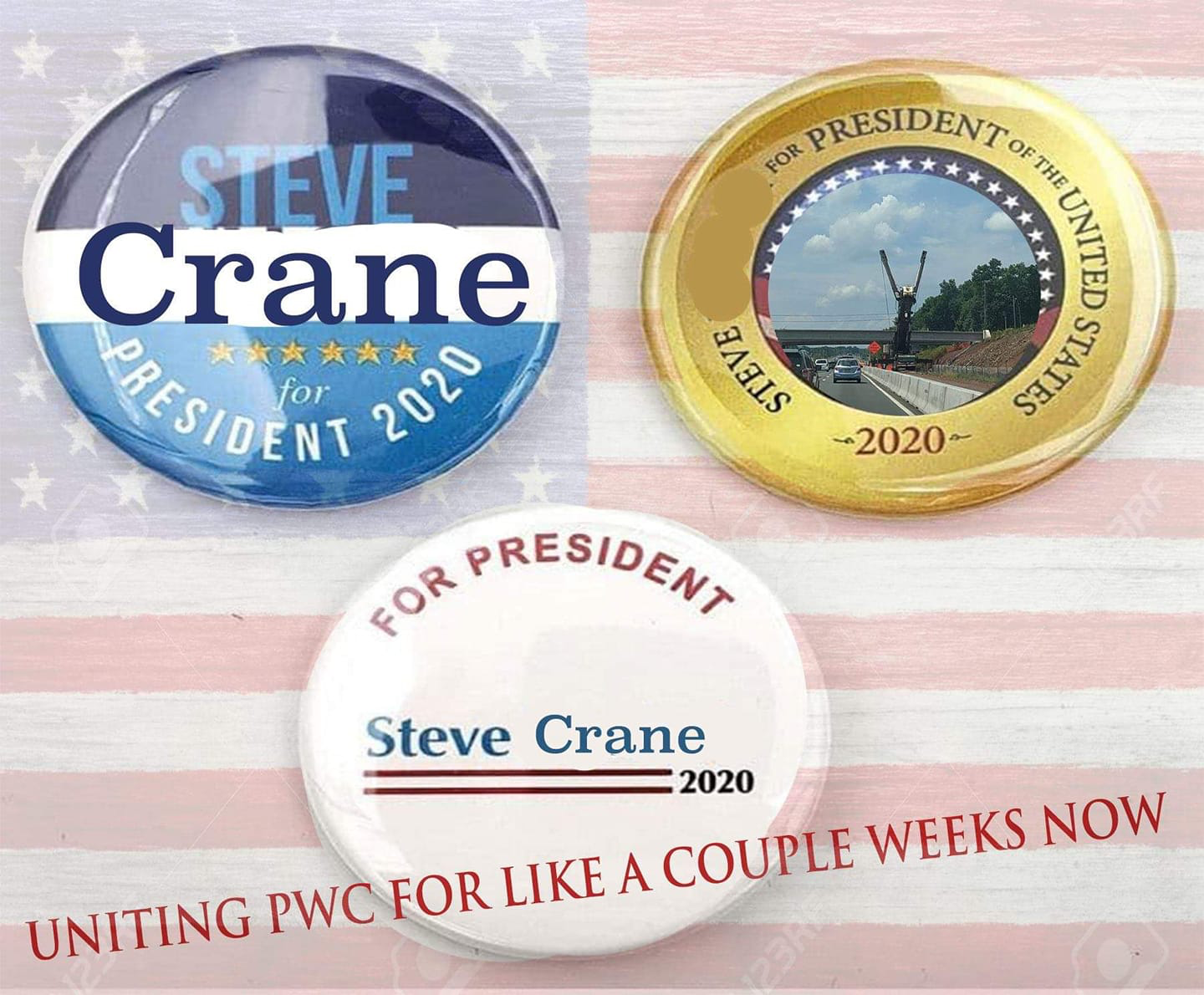 Meme shows "Steve the Crane for President" buttons