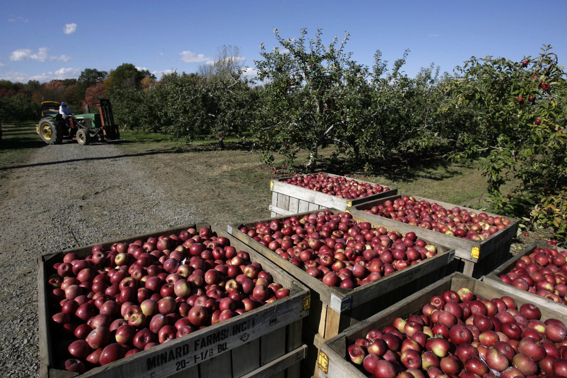 <p><a href="http://www.catoctinmountainorchard.com/"><b>Catoctin Mountain Orchard</b></a><br />
<em><span style="font-weight: 400;">15036 N Franklinville Rd., Thurmont, Maryland</span></em></p>
<p>Pick your own apples, cut your own flowers and pick out your own homemade pies and preserves at Catoctin Mountain Orchard, just north of Frederick, Maryland.</p>
