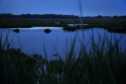 In this May 25, 2017 photo, moonlight reflects off of wetlands along the Choptank River in Caroline County, Md. The Choptank and other waterways on Maryland's Eastern Shore played crucial roles in Harriet Tubman's life and the Underground Railroad, both for transportation and as conduits of information. (AP Photo/Patrick Semansky)