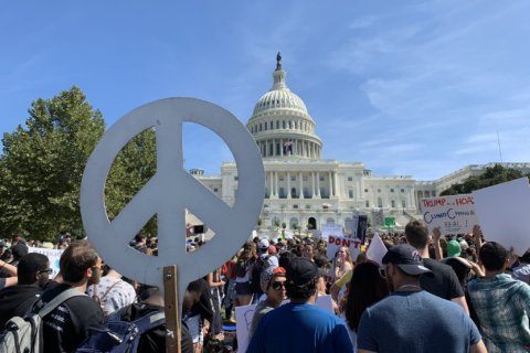 Climate strike protesters march in DC