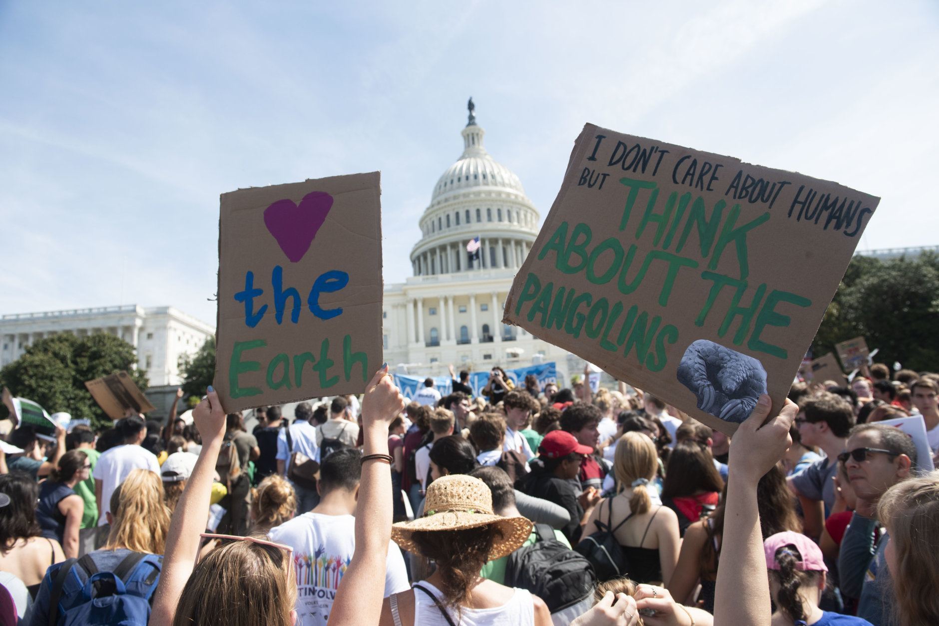 People hold signs as they demonstrate at the march to the U.S. Capitol during the Climate Strike Friday, Sept. 20, 2019, in Washington. (AP Photo/Kevin Wolf)