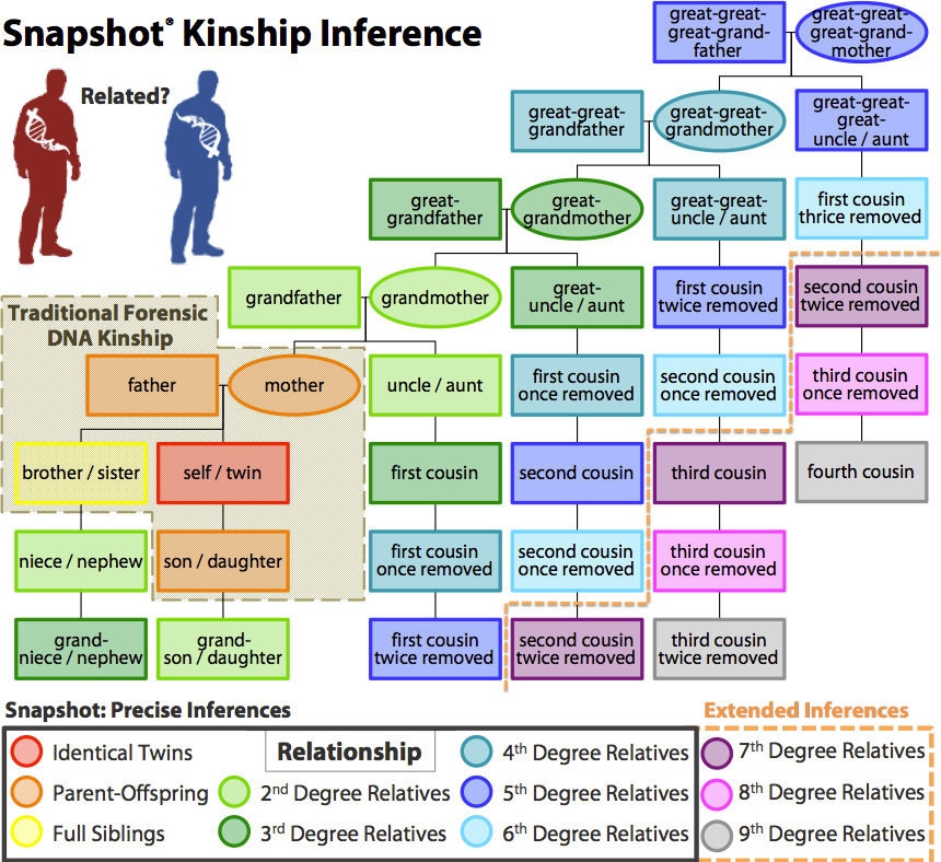 parabon kinship chart