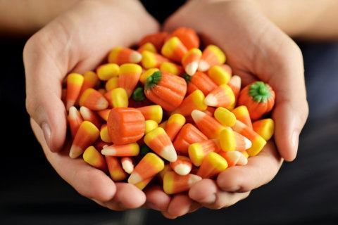 Tips for a health-(ier) Halloween