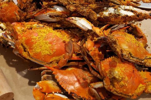 From crab feast to EV: Sustainable batteries could be made from crab shells